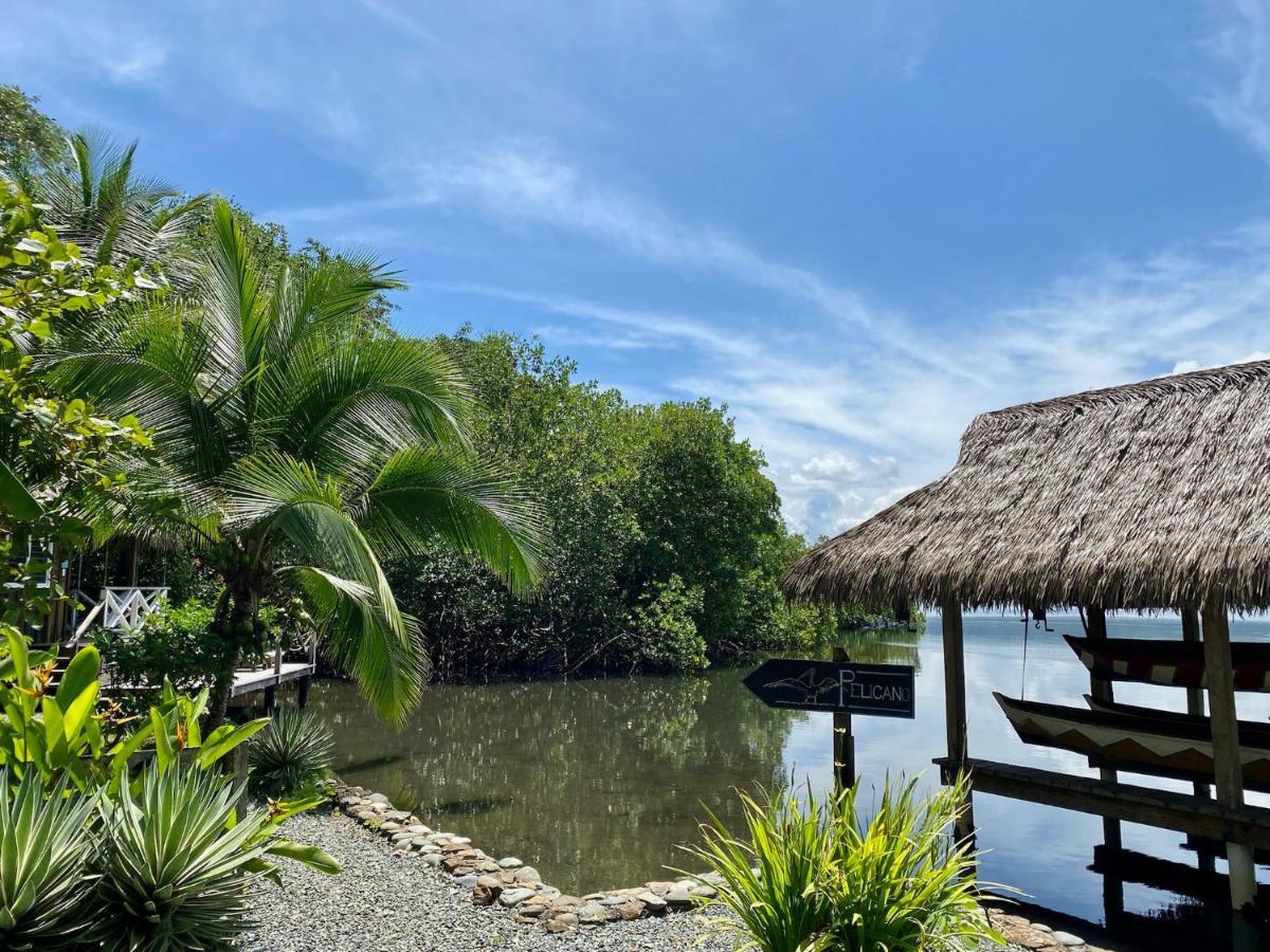 Finca Vela Lodge Bocas del Toro Exterior foto