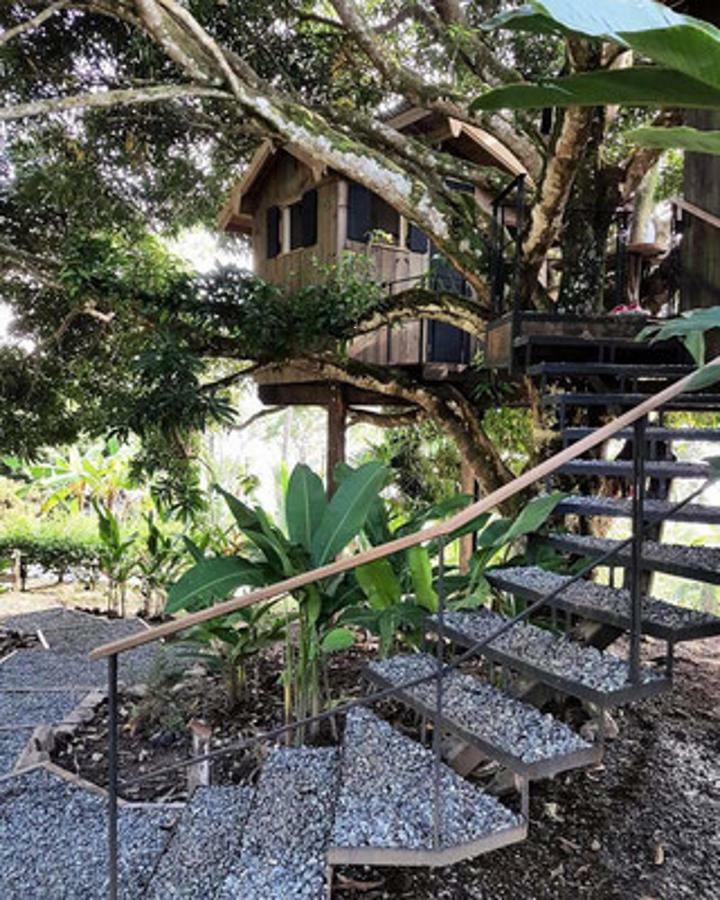 Finca Vela Lodge Bocas del Toro Quarto foto
